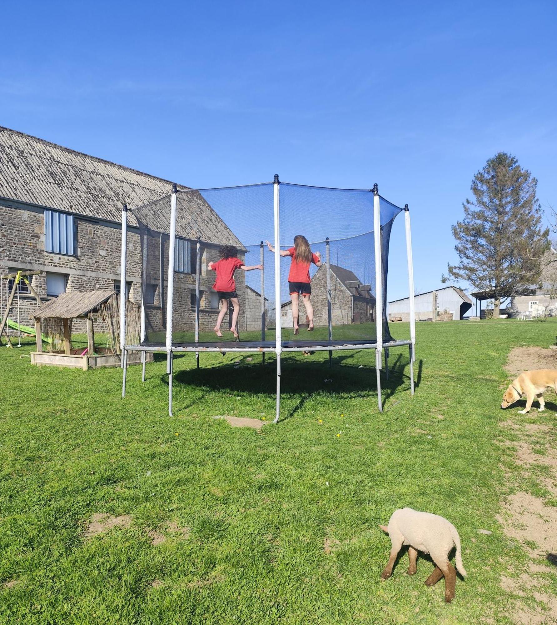 La Billardiere Camping A La Ferme Le Menil-Ciboult Экстерьер фото